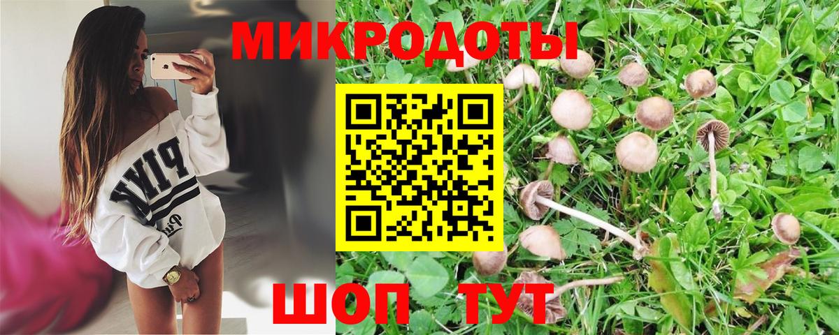 Псилоцибиновые грибы Magic Shrooms  Ахтубинск 