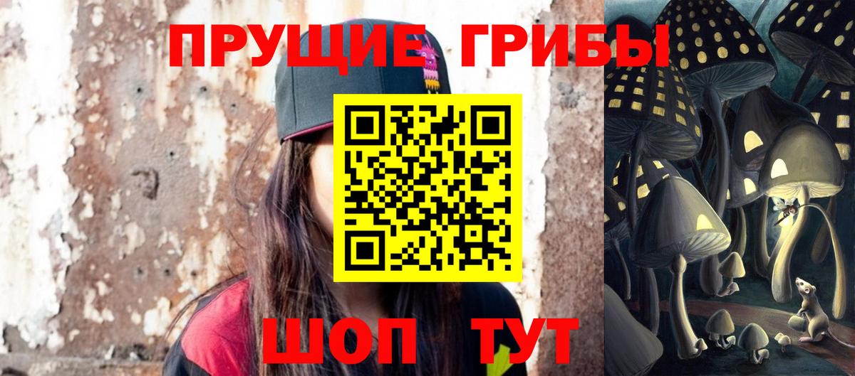 Ахтубинск  Галлюциногенные грибы прущие грибы  Вход с VPN 